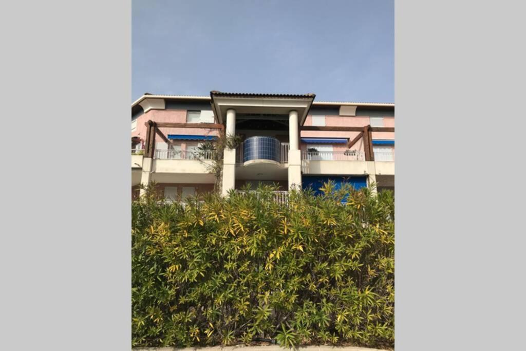 Magnifique Studio A 50M De La Plage De Cavaliere - Studio Tamarindo เลอลาวองดูว์ ภายนอก รูปภาพ