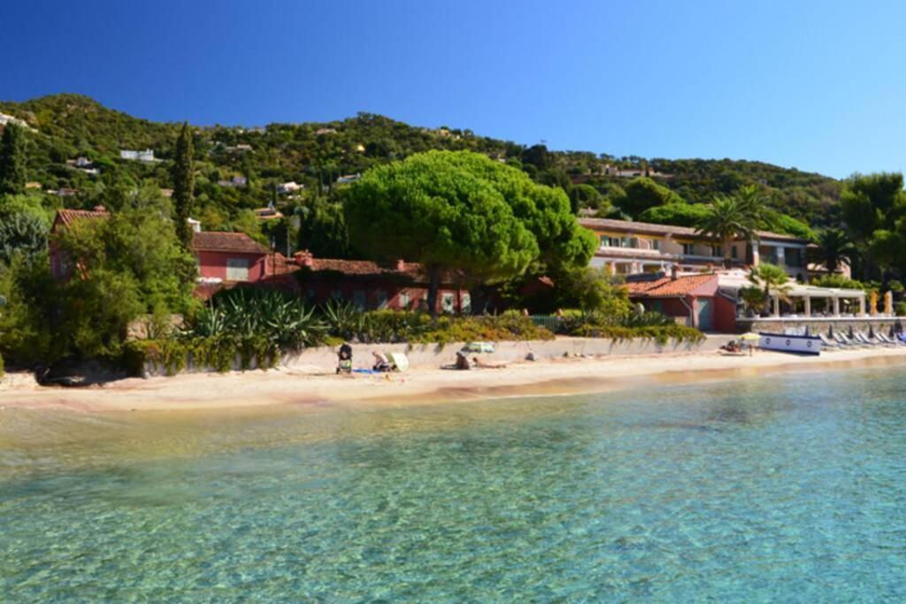 Magnifique Studio A 50M De La Plage De Cavaliere - Studio Tamarindo เลอลาวองดูว์ ภายนอก รูปภาพ