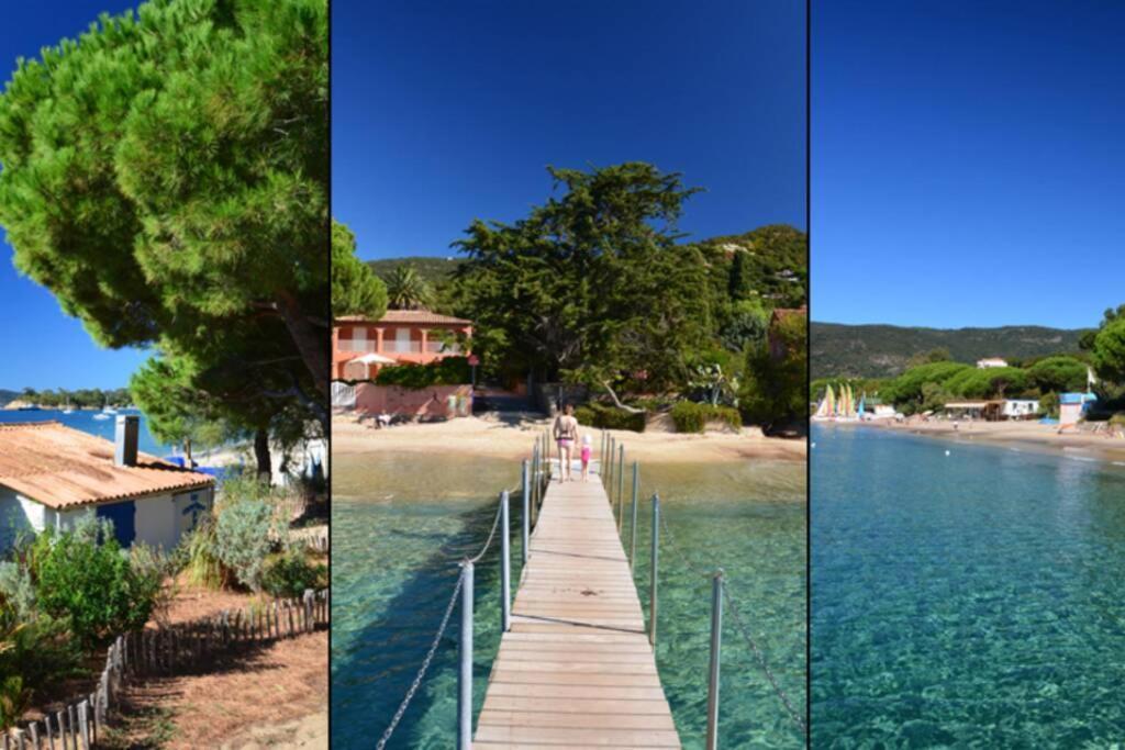 Magnifique Studio A 50M De La Plage De Cavaliere - Studio Tamarindo เลอลาวองดูว์ ภายนอก รูปภาพ